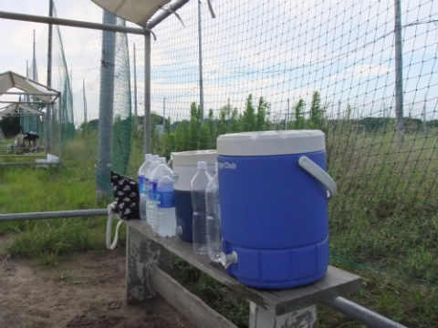 ２０１２夏合宿